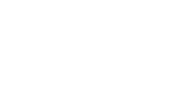 zedine.fr logo 2