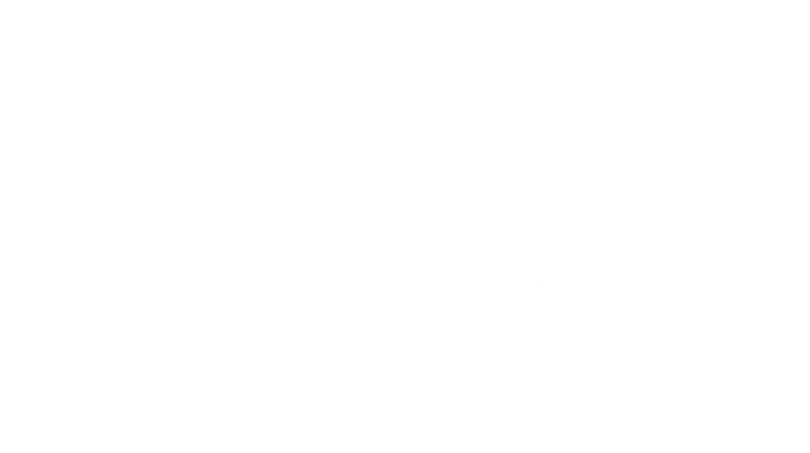zedine.fr logo 2