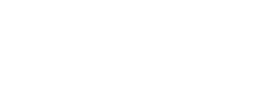 zedine.fr logo 2